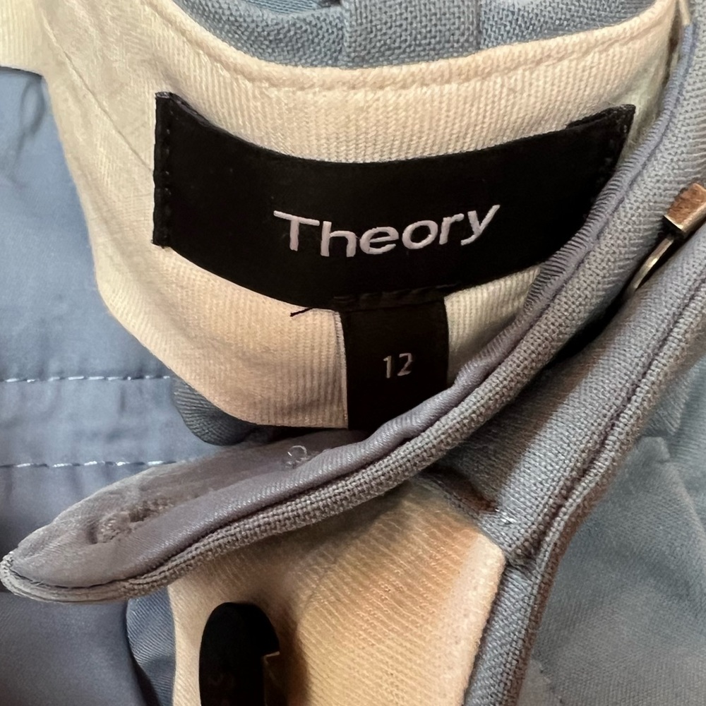 Theory professional pant